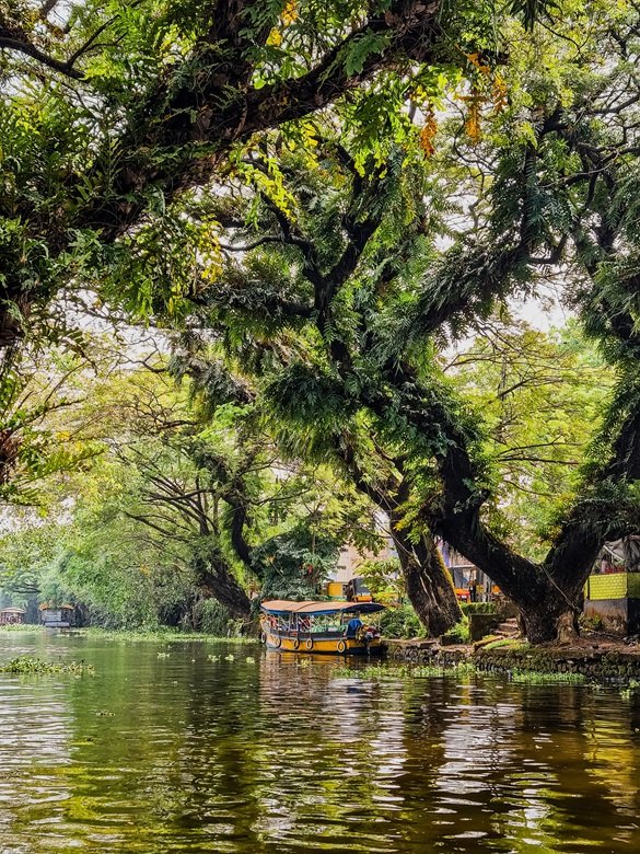 Alleppey-backwater