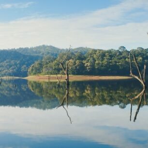 Thekkady