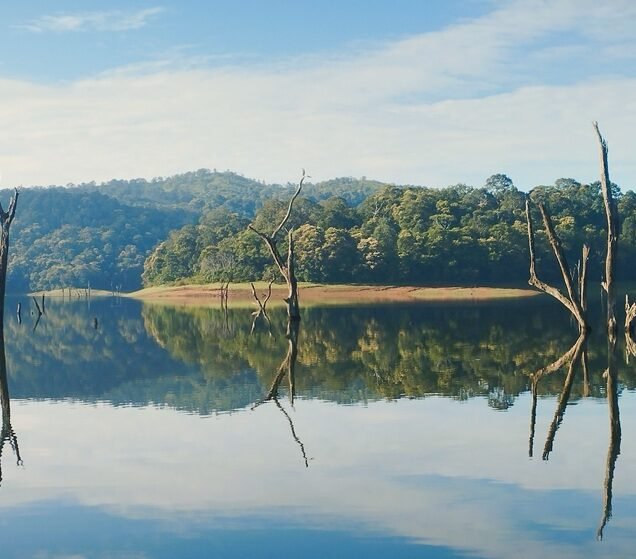 Thekkady