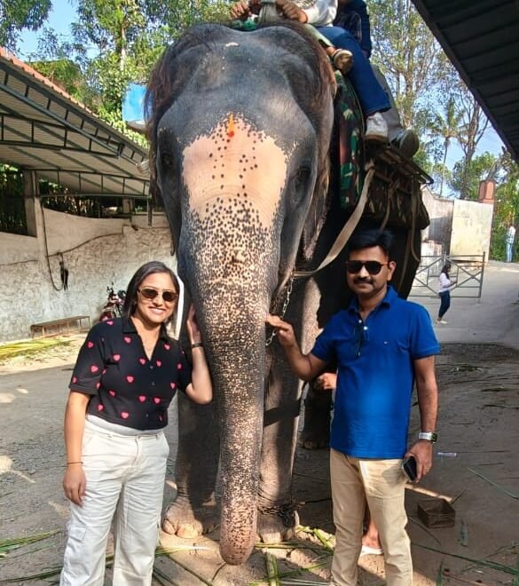 Elephant Ride